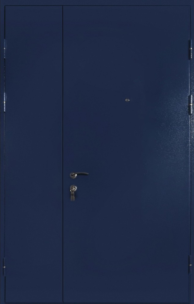 Стальная дверь ЛД-404 в техническое помещение с порошковым напылением